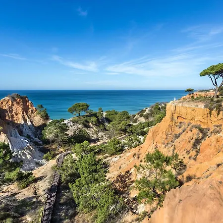 Pine Cliffs 5* 알부페이라