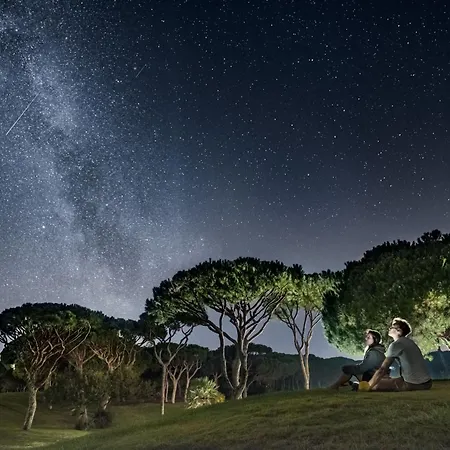 فندق Pine Cliffs البوفيرا